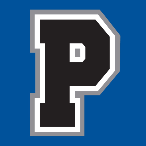Pro Image Sports logo